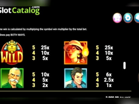 485% Match bonus casino at Royal Panda Casino