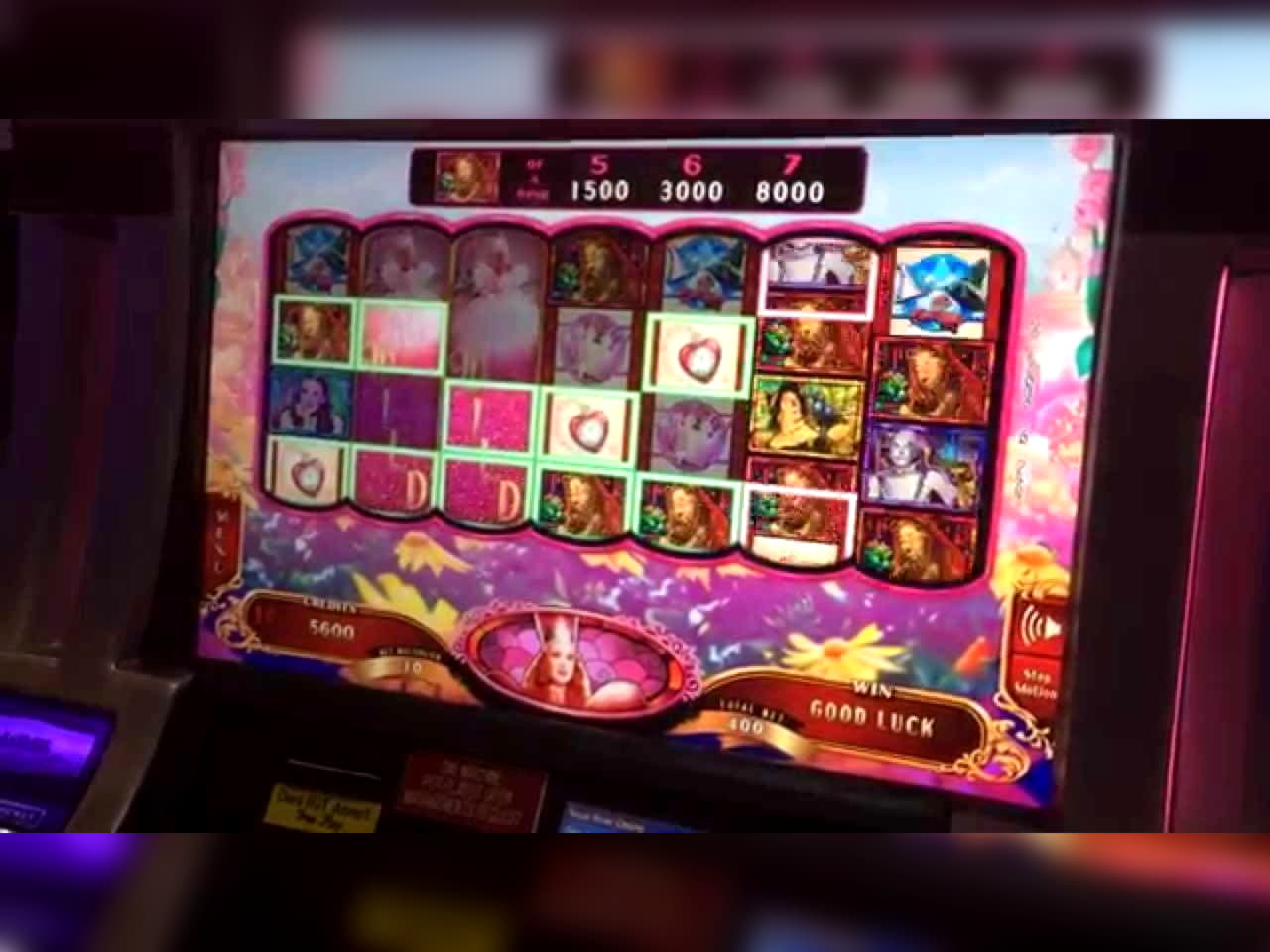 115 Loyalty Free Spins! at Leo Dubai Casino