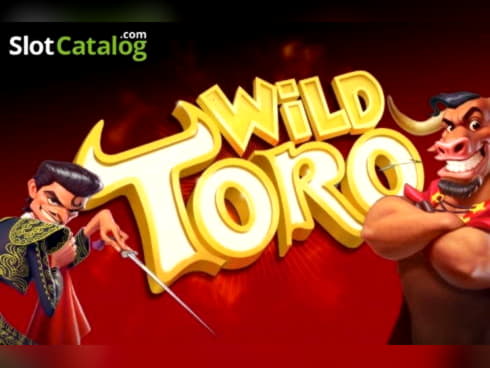 695% First deposit bonus at Czech Republic Casino 