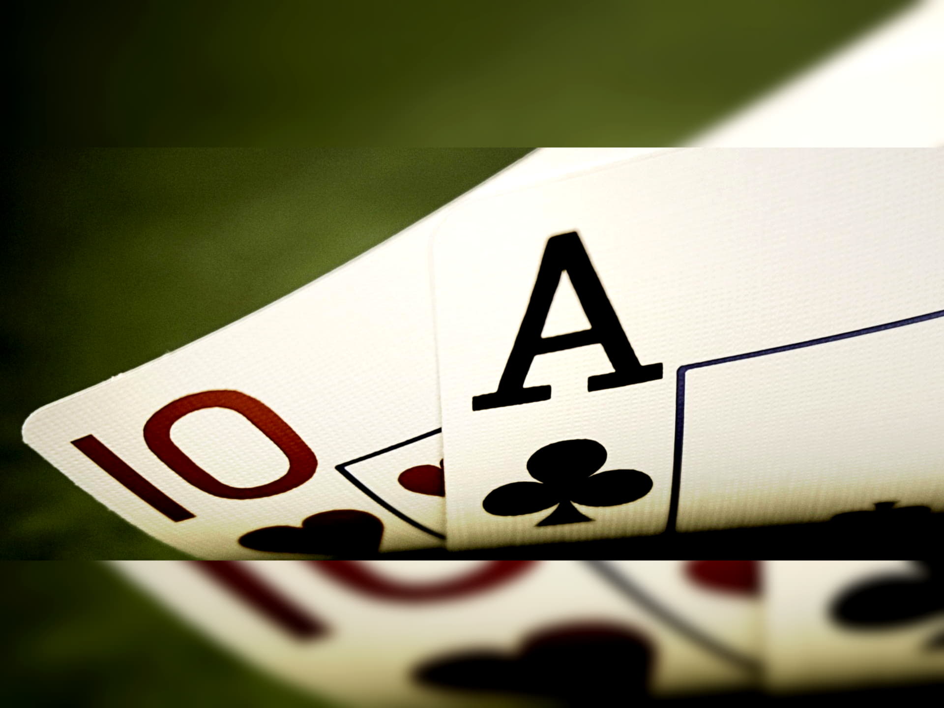 ﻿$350 NO DEPOSIT CASINO BONUS at Mongoose Casino