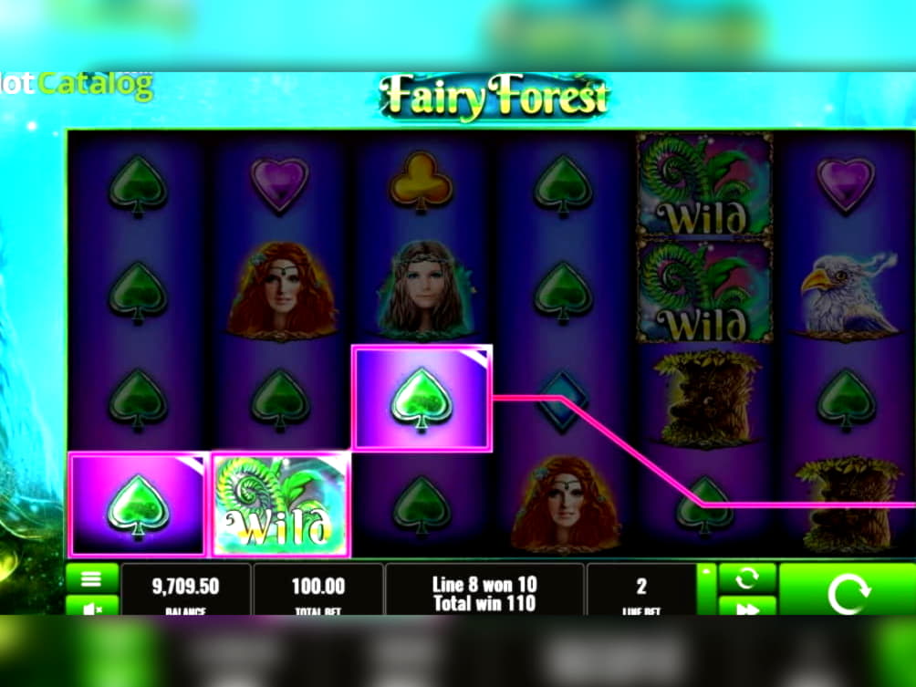 520% Signup Casino Bonus at Hopa Casino