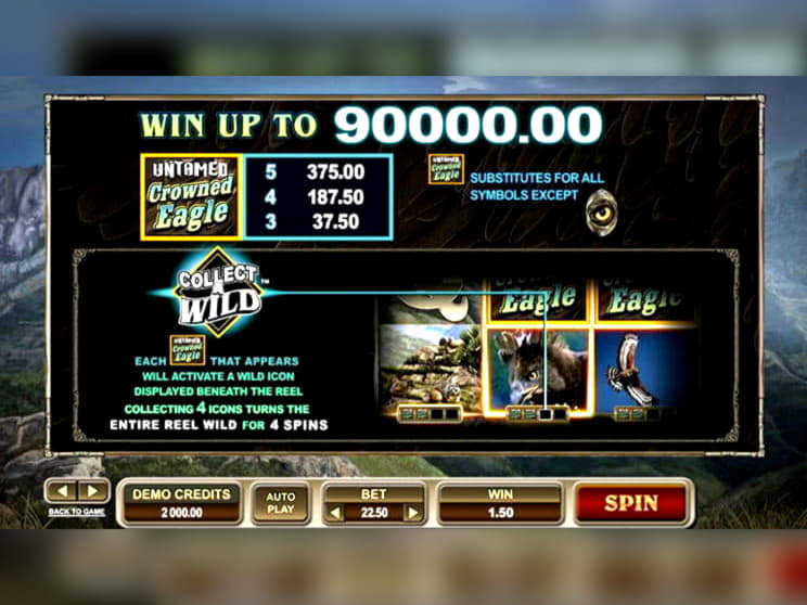 EURO 3085 No deposit bonus code at Betwinner Casino