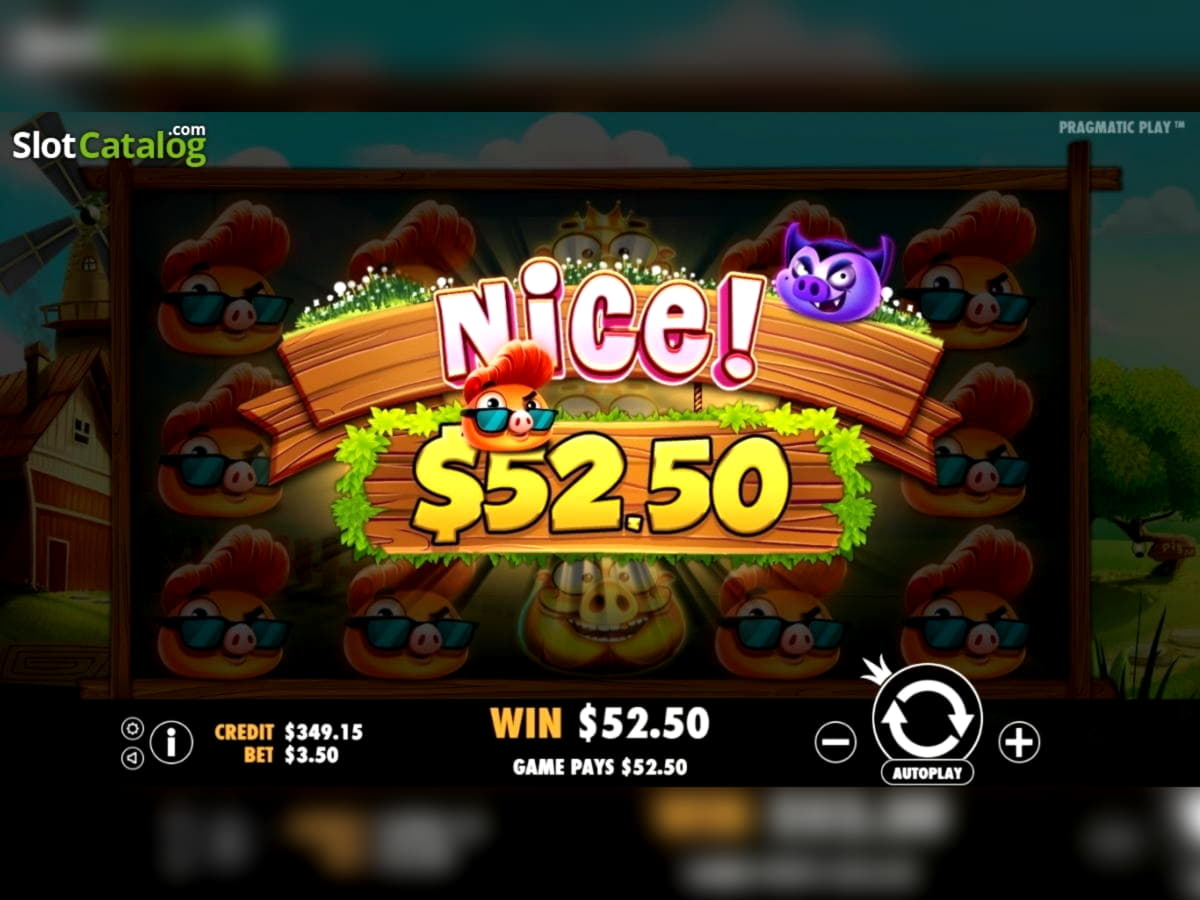 245 Free casino spins at Canada Casino 