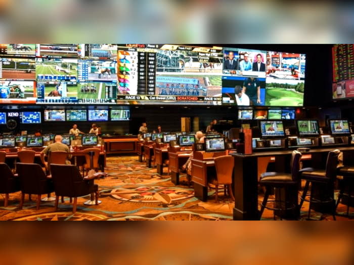 480% casino match bonus at Royal Panda Casino