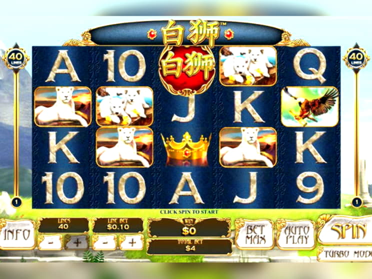 55 free spins no deposit casino at Leo Dubai Casino