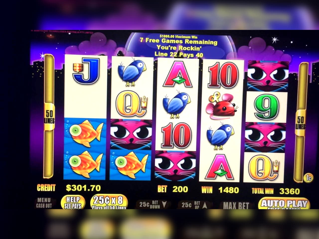 ﻿$3985 No deposit at Slots Million Casino