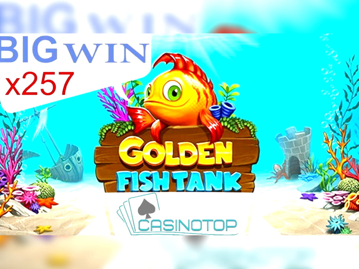 $210 Casino Chip at Betwinner Casino