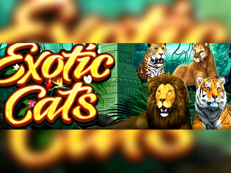 €3000 no deposit casino bonus at Slots Million Casino