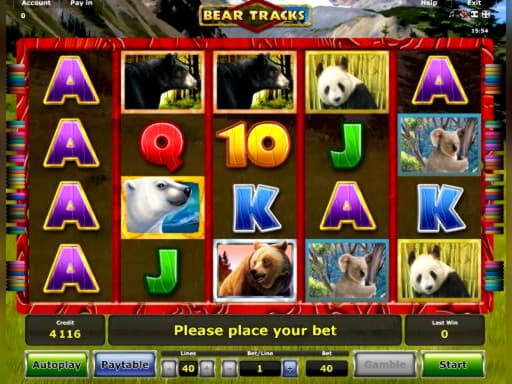 44 Free Spins right now at Betwinner Casino