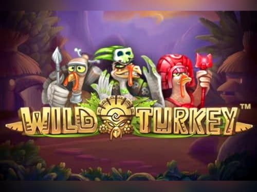﻿$4185 no deposit bonus casino at Finland Casino 