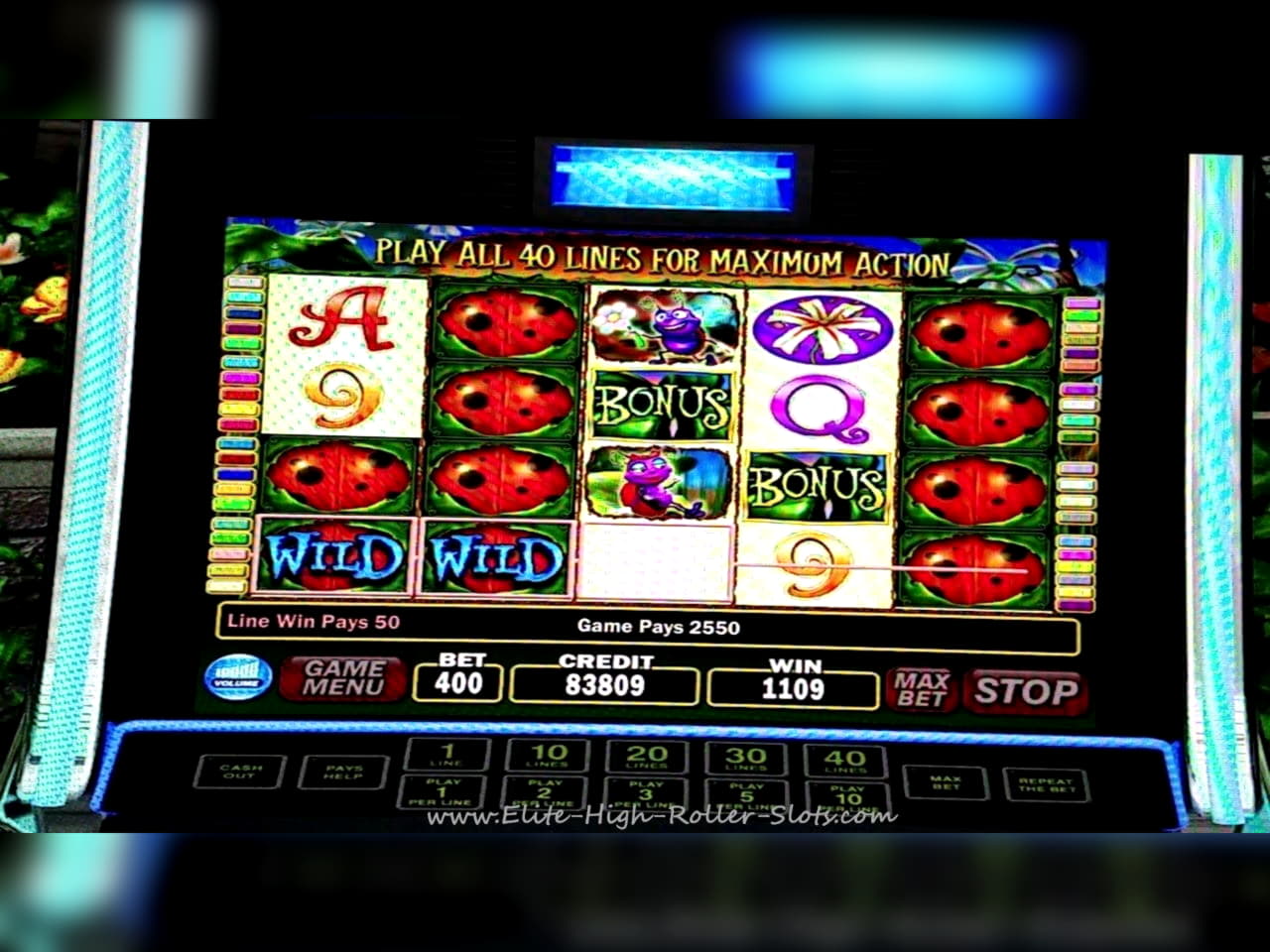 EUR 2360 No deposit at Betwinner Casino
