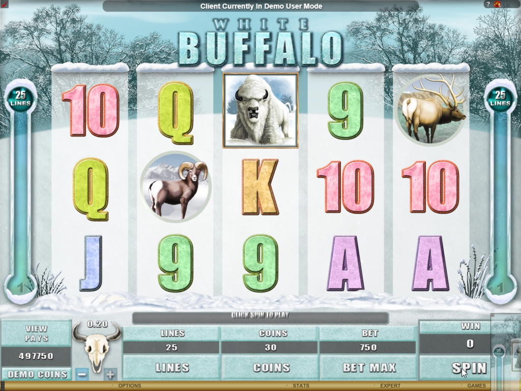 €840 Casino tournaments freeroll at Leo Dubai Casino