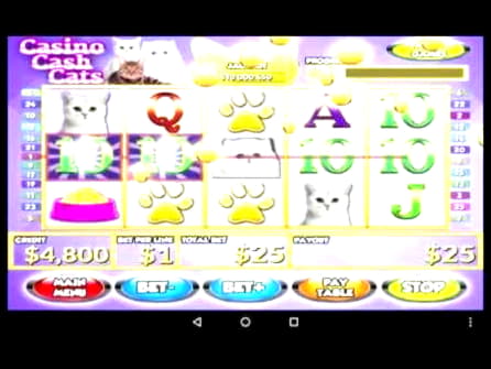 505% Match at a casino at Royal Panda Casino