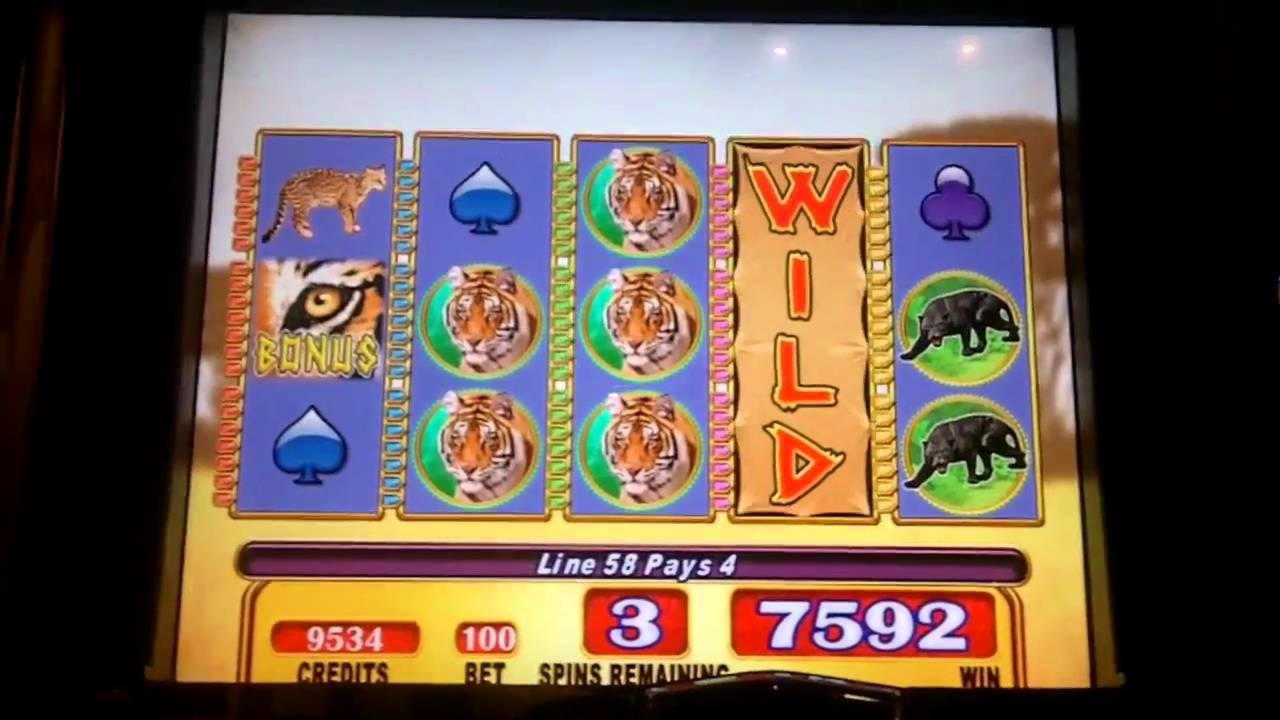 Eur 745 Mobile freeroll slot tournament at Betwinner Casino