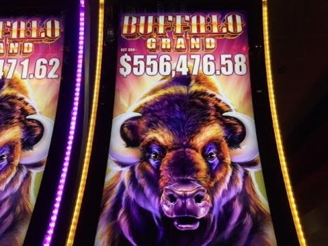 £4895 No deposit bonus at Royal Panda Casino
