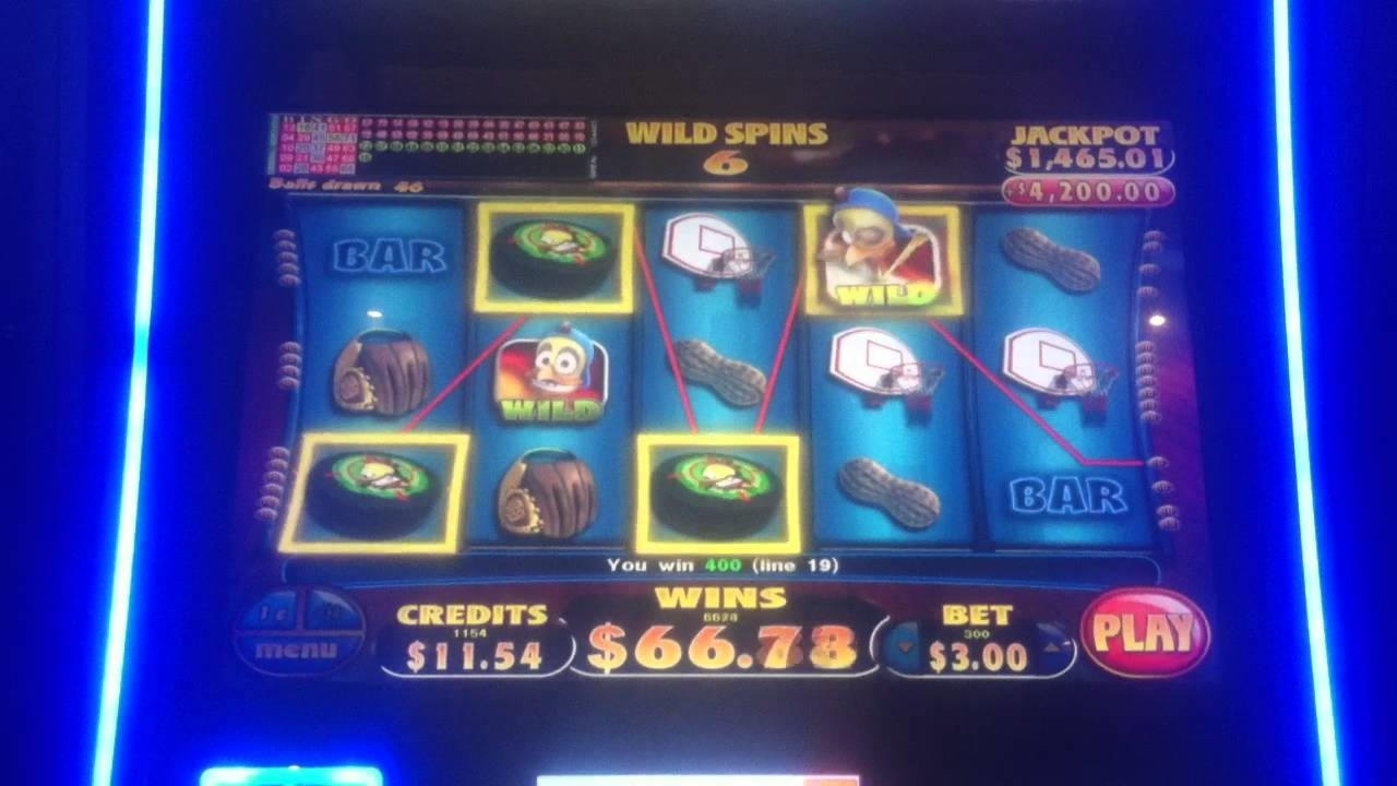 €550 Tournament at Royal Panda Casino