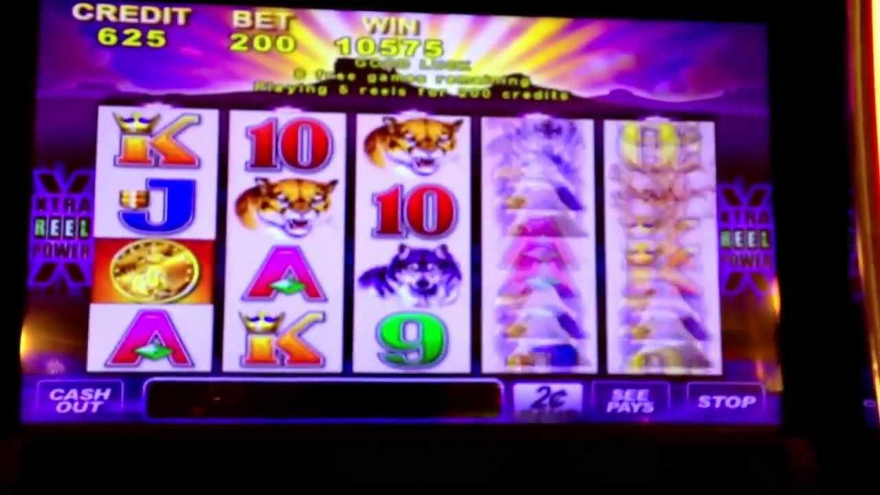 230 Loyalty Free Spins! at BoDubai Casino