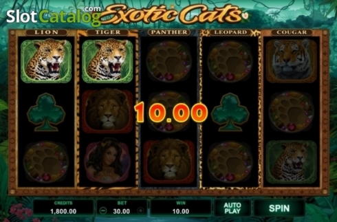 680% Match bonus casino at Australia Casino 