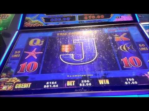 750% Match at a Casino at Inter Casino