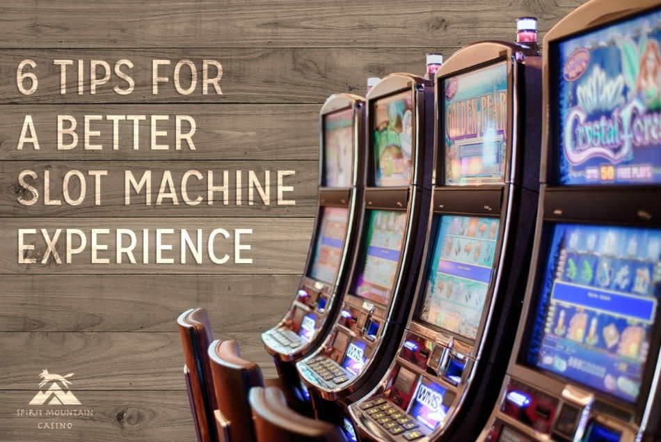 ﻿$430 Daily freeroll slot tournament at Betwinner Casino