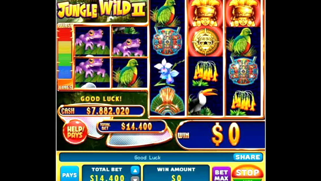 560% Signup Casino Bonus at Leo Dubai Casino