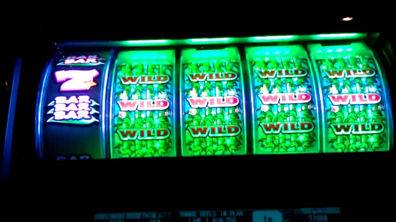 EURO 670 Casino Chip at Royal Panda Casino