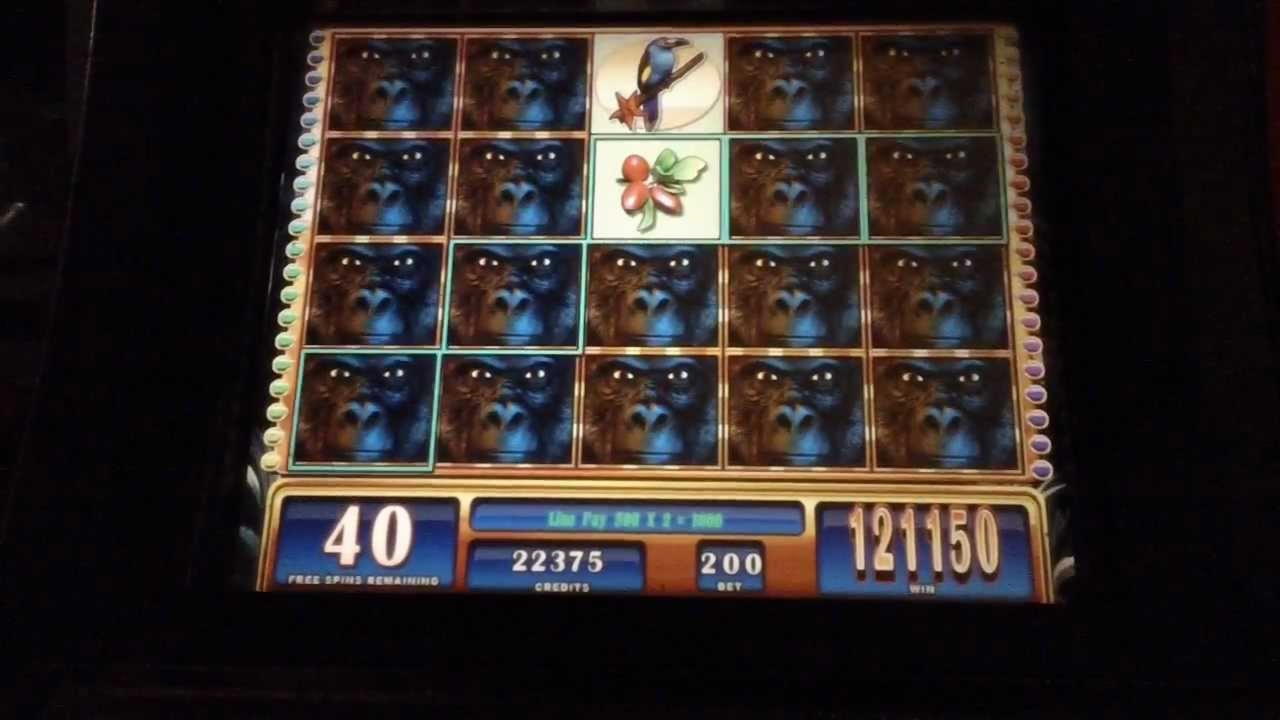 125 free spins no deposit at BoVegas Casino