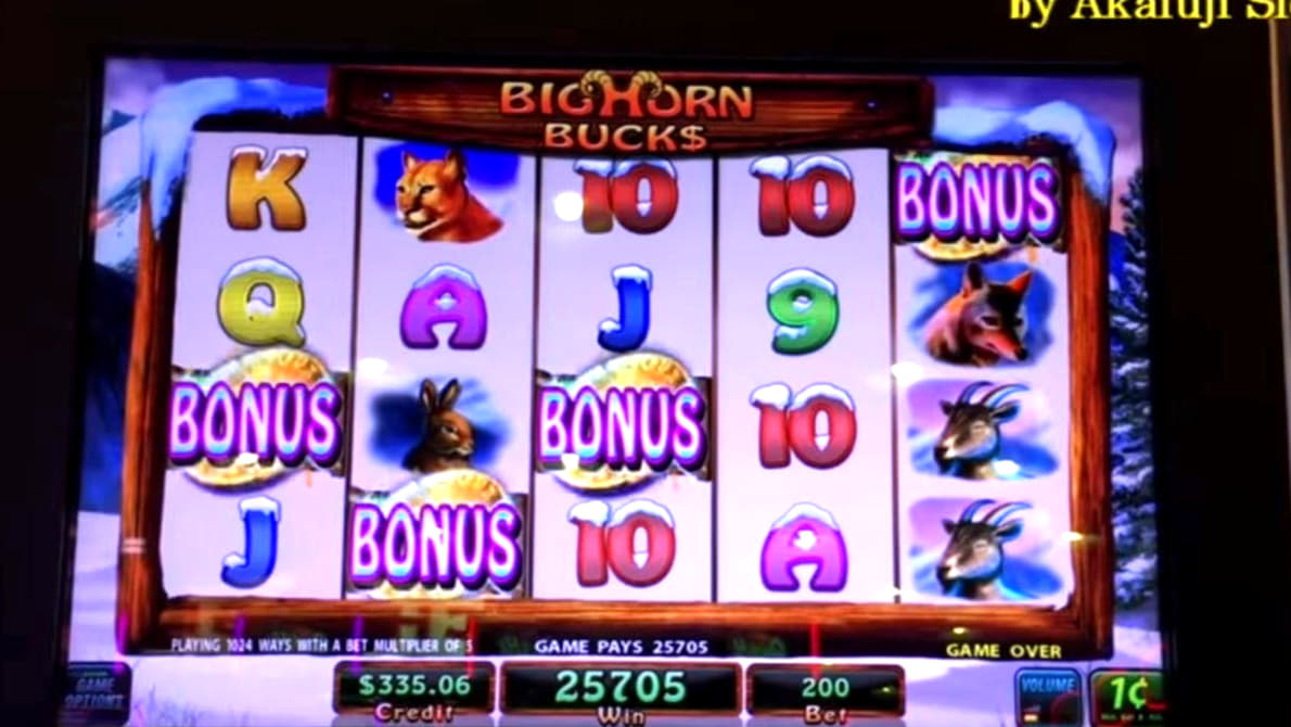 770% No Rules Bonus! at Lucky Fortune Casino 