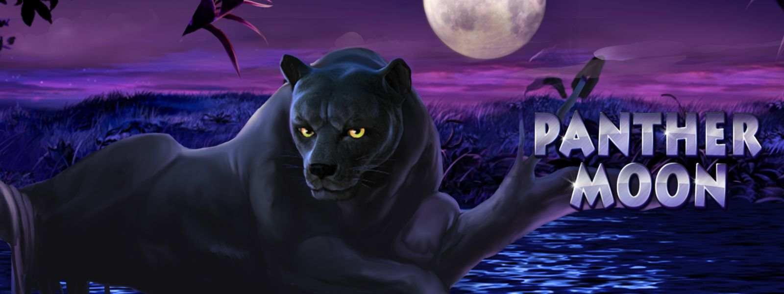 355% Match Bonus Casino at Netherlands Casino 