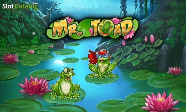 £355 Mobile freeroll slot tournament at Hopa Casino