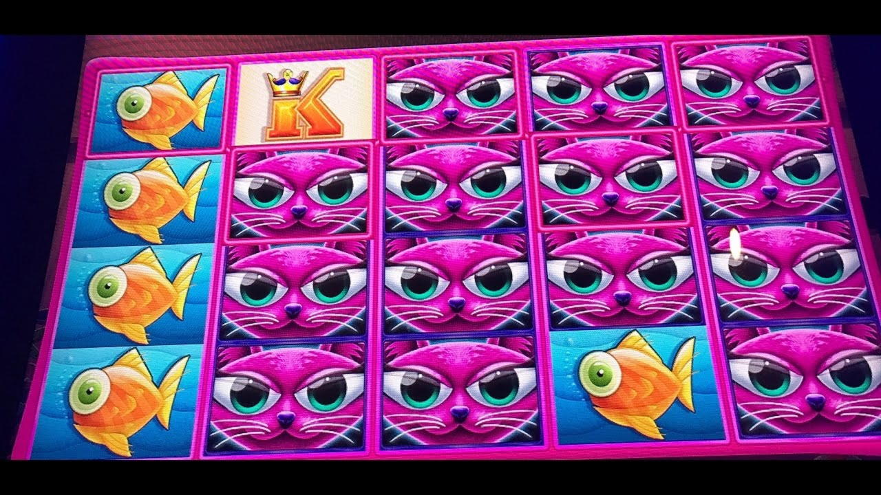 $565 Free Money at Come On Casino