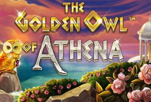 Eur 860 No deposit at Uptown Aces Casino