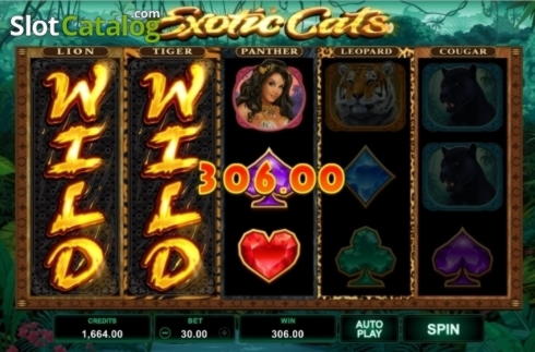 250 Loyalty Free Spins! at Slots Billion Casino