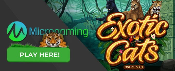 ﻿$265 Free Casino Tournament at Slotty Dubai Casino