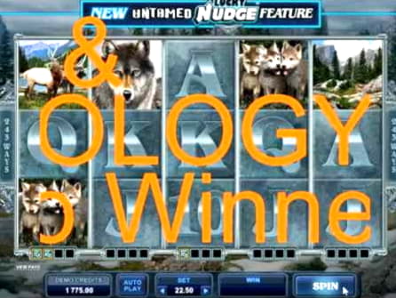 285 free spins at Royal Panda Casino