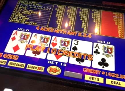 105 Free Spins at Royal Panda Casino