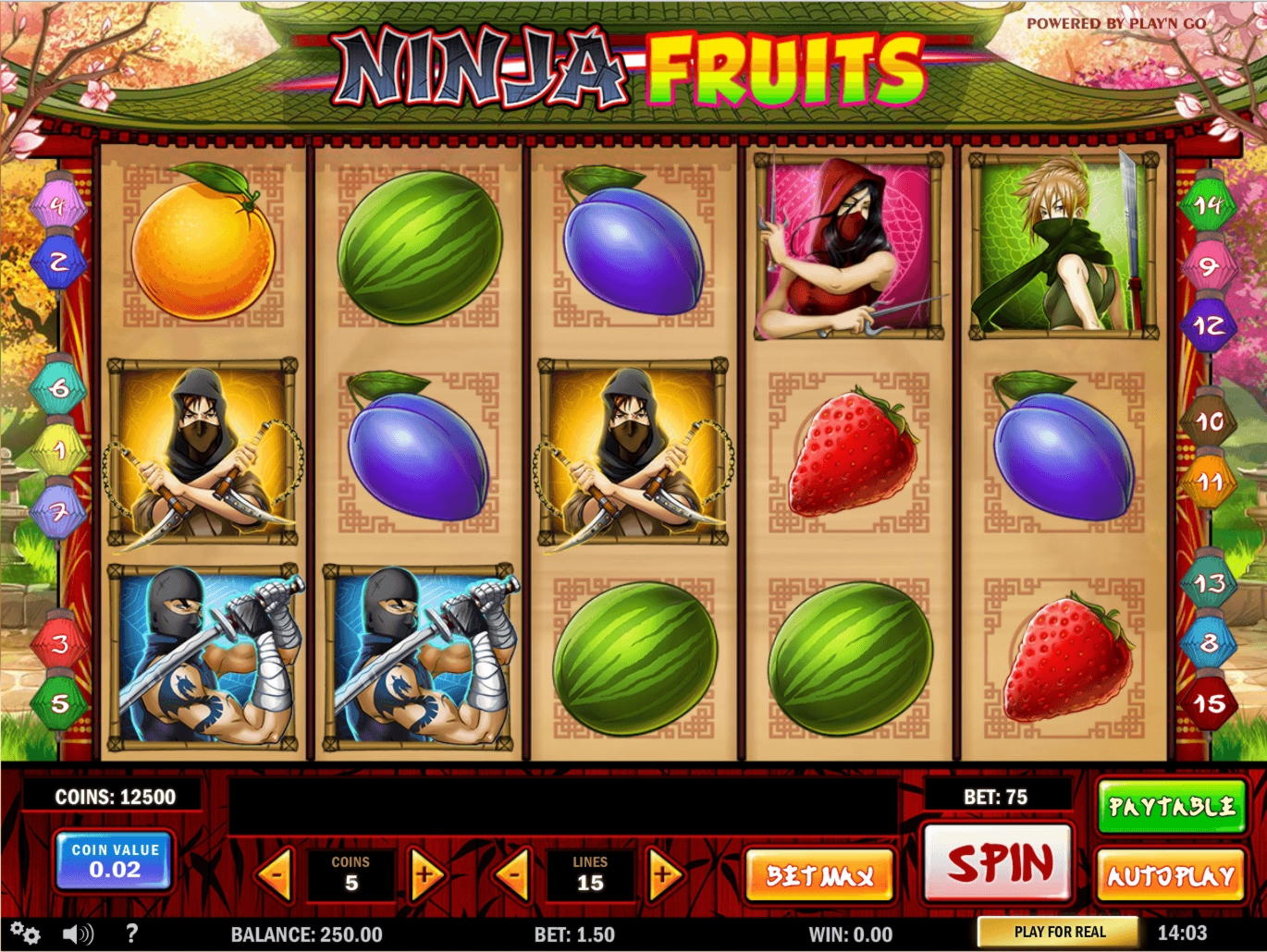 €880 NO DEPOSIT at Sloto Cash Casino