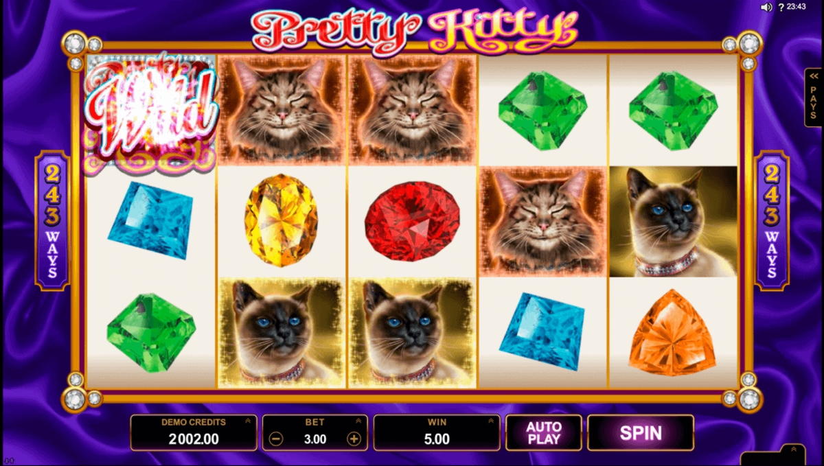 €545 FREE Chip at Betwinner Casino