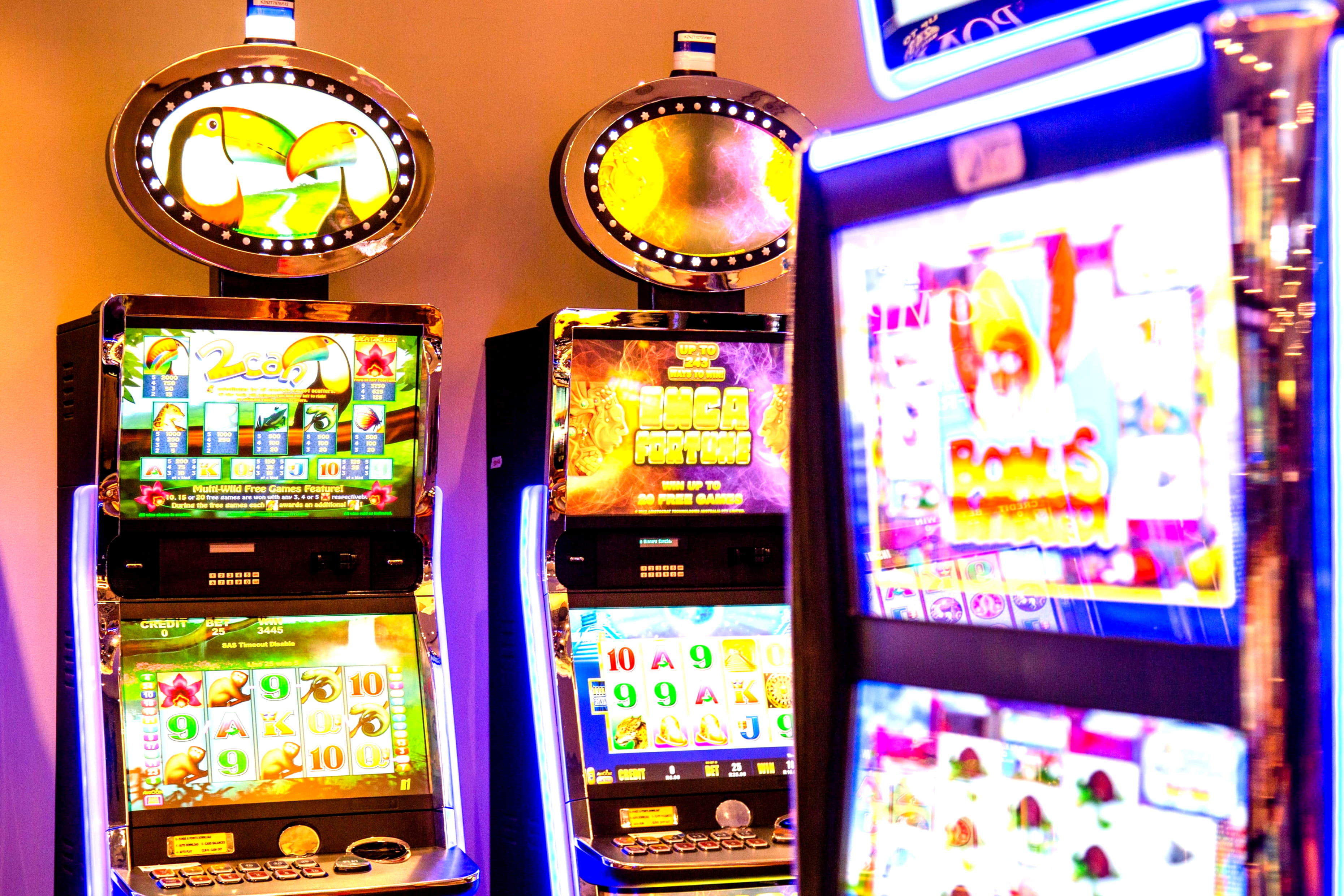 65 Loyal Free Spins! at Betwinner Casino