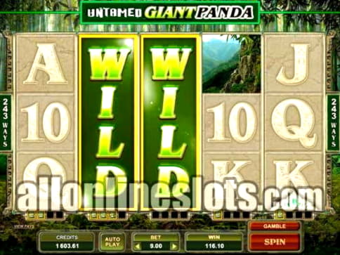 ﻿$255 Online Casino Tournament at Royal Panda Casino