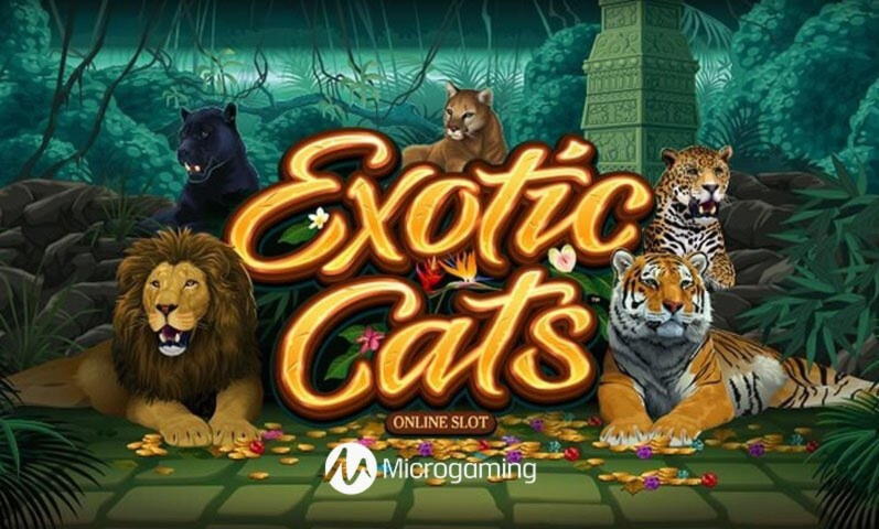 205% Match Bonus at UK Casino 