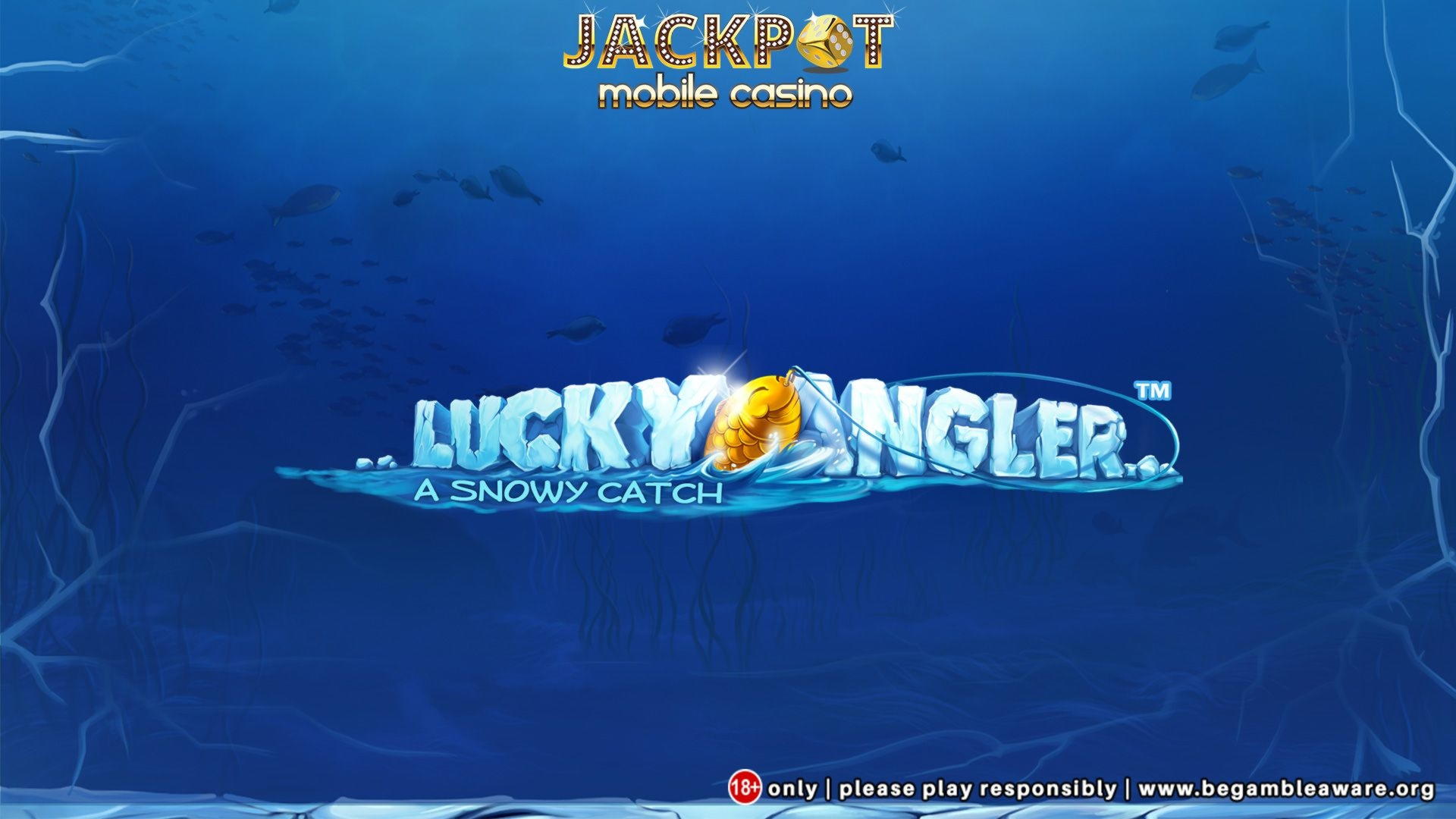 $110 Tournament at Captain Jack Casino
