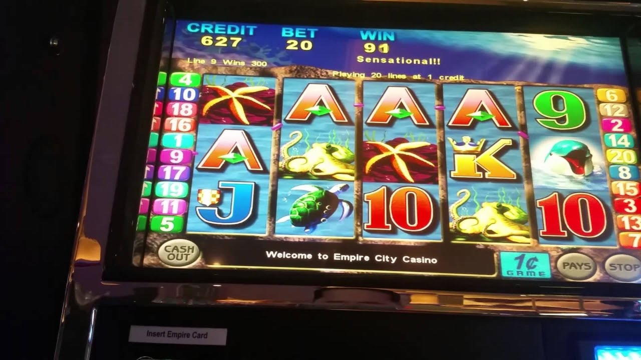 55 Loyalty Free Spins! at Betwinner Casino