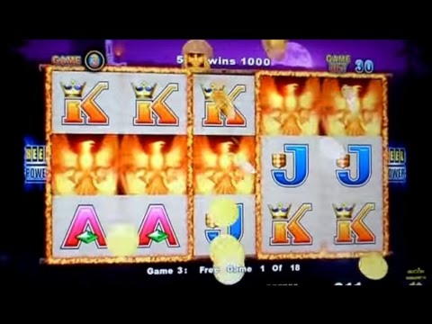 665% Best signup bonus casino at Leo Dubai Casino