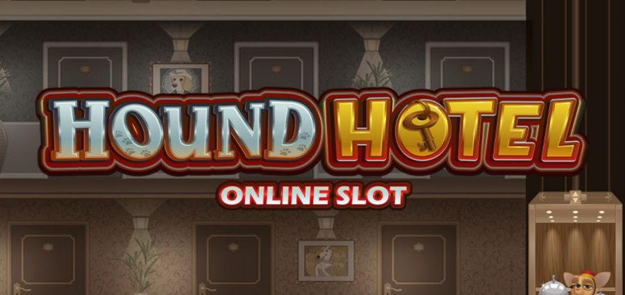 €250 Free Casino Tournament at Hopa Casino