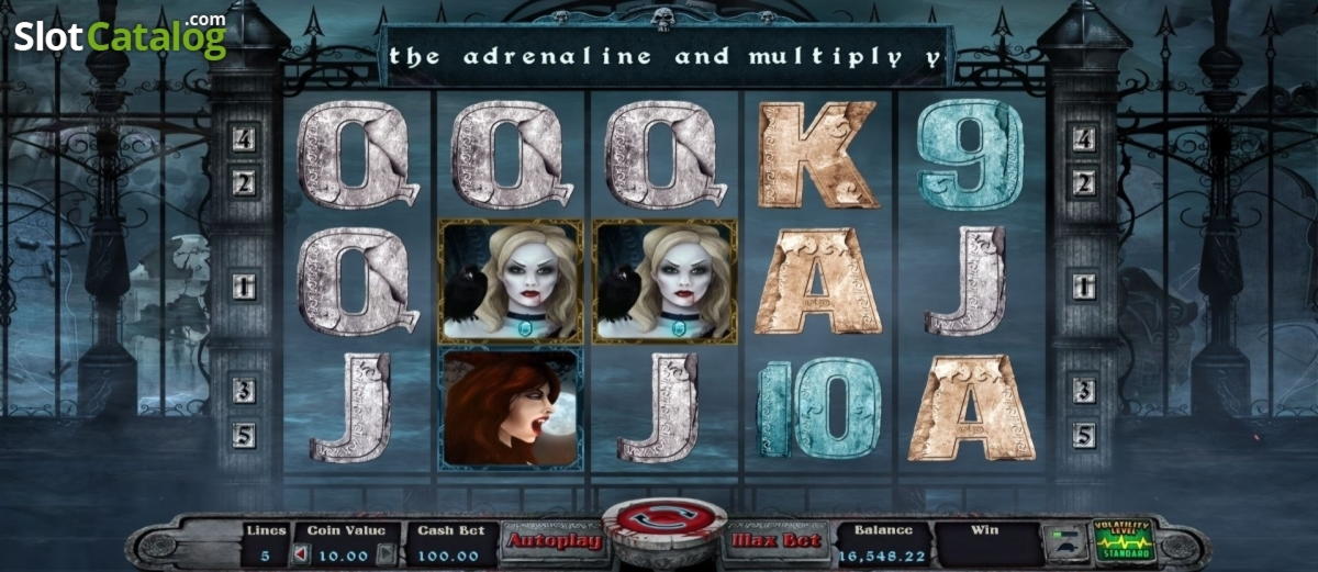 EUR 440 Casino chip at Lucky Fortune Casino 