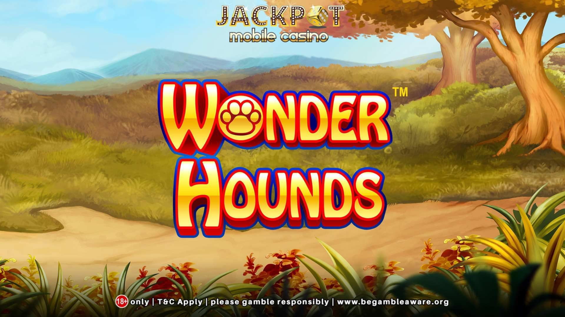 ﻿$2430 No Deposit Casino Bonus at Betwinner Casino