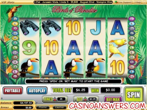 €335 NO DEPOSIT BONUS CASINO at Lucky Fortune Casino 