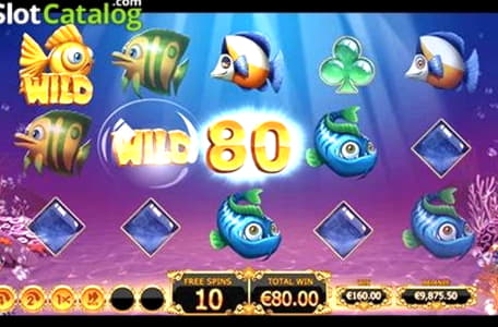 350% Deposit Match Bonus at Betwinner Casino