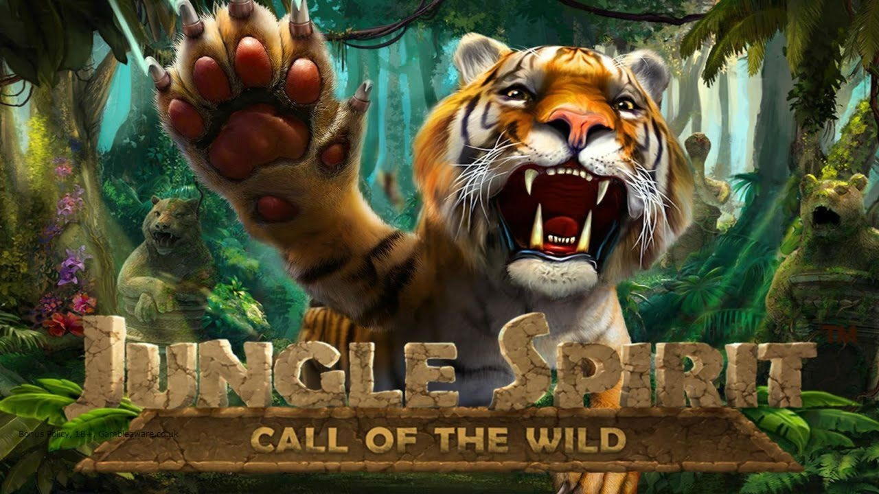 22 Free Spins right now at Betwinner Casino